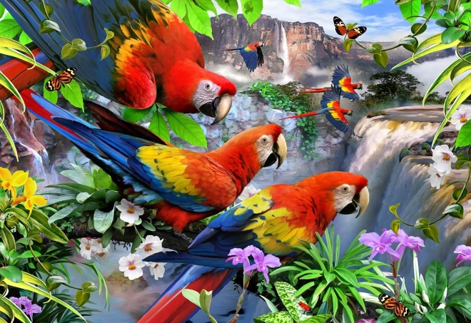 Dřevěné puzzle Ostrov papoušků