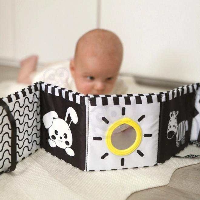 Montessori XXL vzdělávací box 7v1 TOOKY TOY