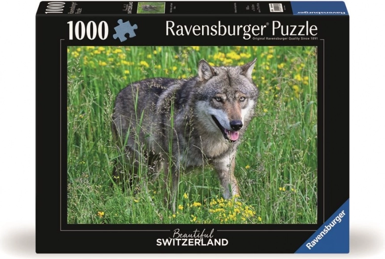 1000 dílků pro pohodovou výzvu