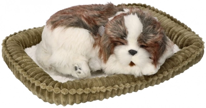 Adoptuj mě dýchající štěně Shih Tzu