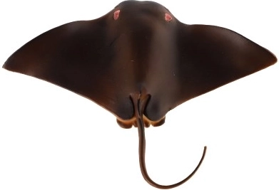 Vzdělávací a dekorativní