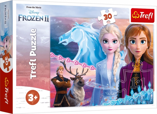 Puzzle 30 dílků - Odvaha sester - Disney Ledové království 2