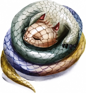 Rozmanitost draků