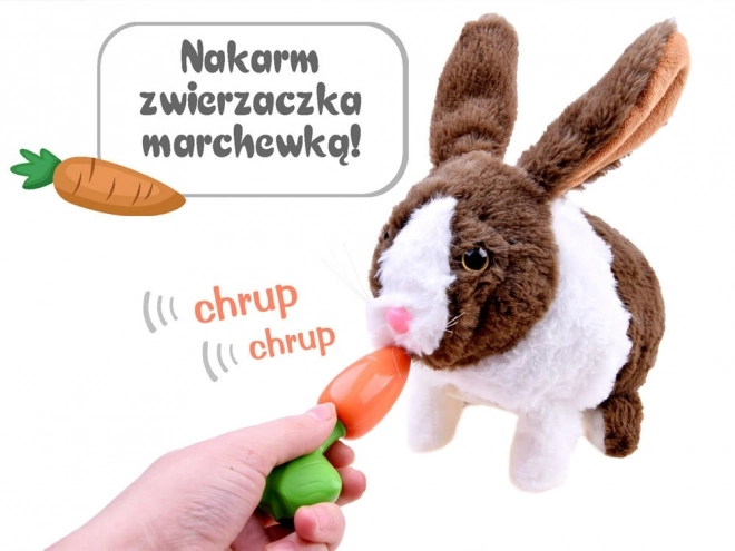 Interaktivní králíček s mrkvičkou – Hnědá