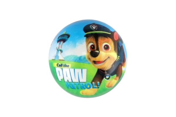 Míč paw patrol 14cm