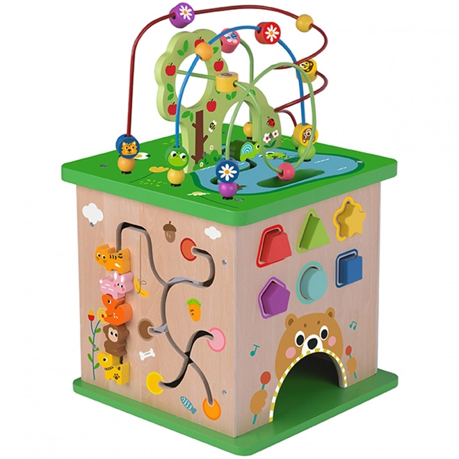 Edukativní kostka Tooky Toy