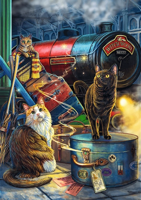 Puzzle TREFL Čarodějný expres 1000 dílků