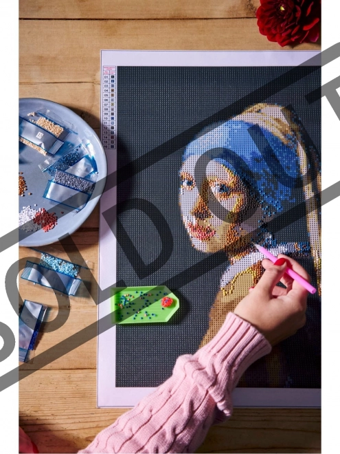 Malování pomocí kamínků Diamond painting 40x50 cm Dívka s pe