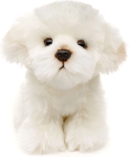 Eco-friendly a bezpečné provedení