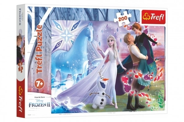 Puzzle Kouzelný svět sester Ledové království II/Frozen II 200 dílků 48x34cm v krabici 33x23x4cm