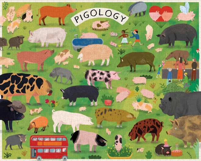 Puzzle Pigologie 1000 dílků od Chronicle Books