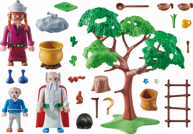 PLAYMOBIL® Asterix 70933 Panoramix s kouzelným lektvarem
