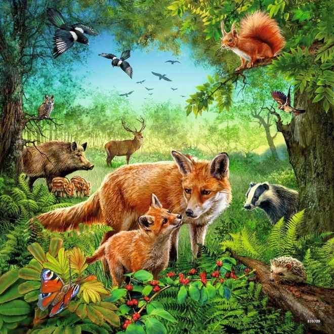Jasné barvy a detailní ilustrace