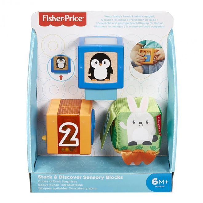 Fisher-Price Kostky pro rozvoj smyslů