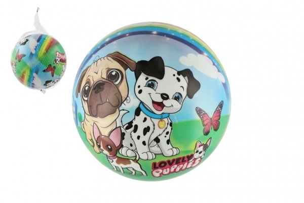 Míč pejsci 23 cm