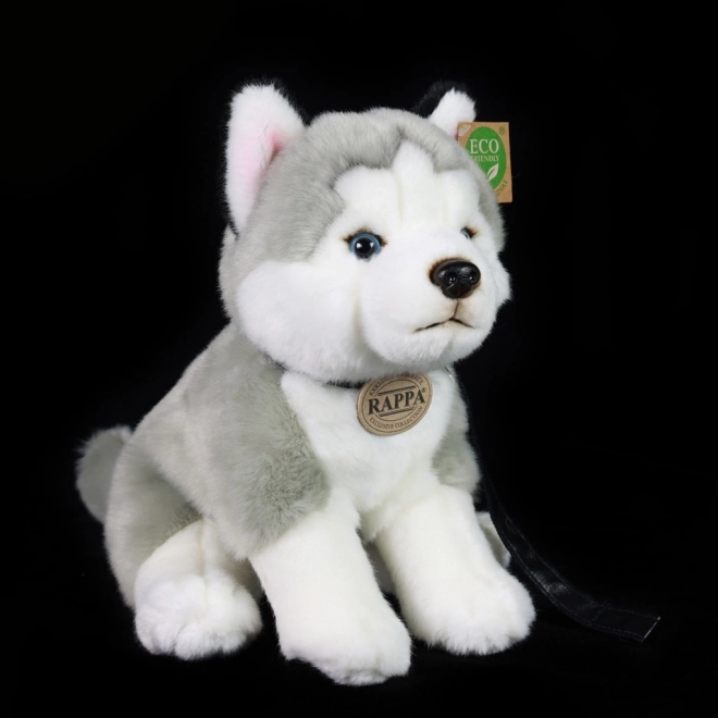 Plyšový pes Husky s vodítkem 28 cm od Rappa