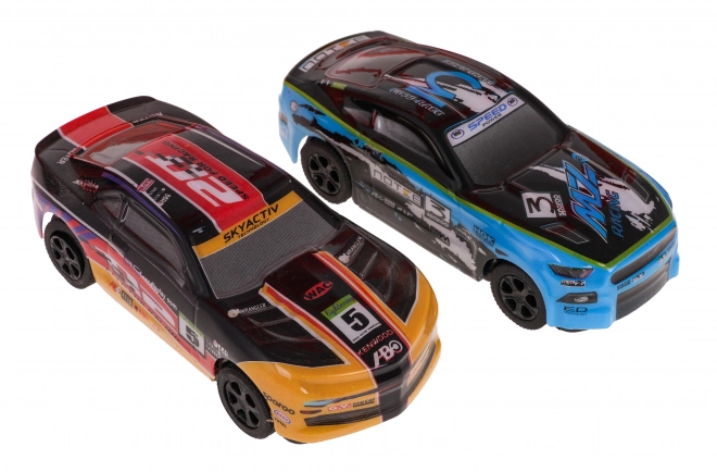Velká závodní dráha Racer 1:43