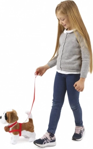 Chodí na vodítku a poslouchá na tlesknutí