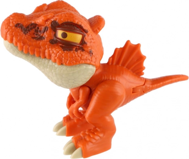 Různé druhy a barvy