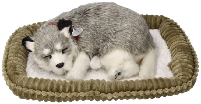 Dechberoucí Aljašský Husky plyšák