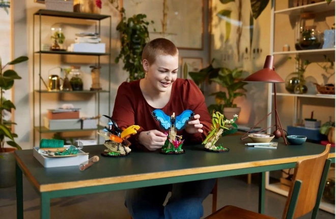 LEGO® Ideas 21342 Hmyzí kolekce