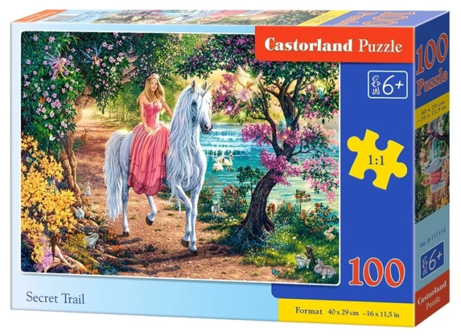Puzzle Tajná cesta CASTORLAND 100 dílků
