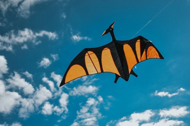 Létající drak Pterodaktyl 170 x 90 cm
