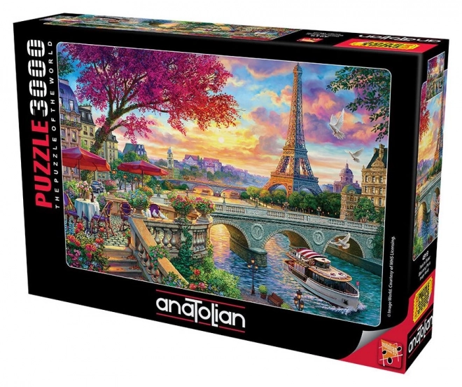 Puzzle Rozkvetlá Paříž 3000 dílků