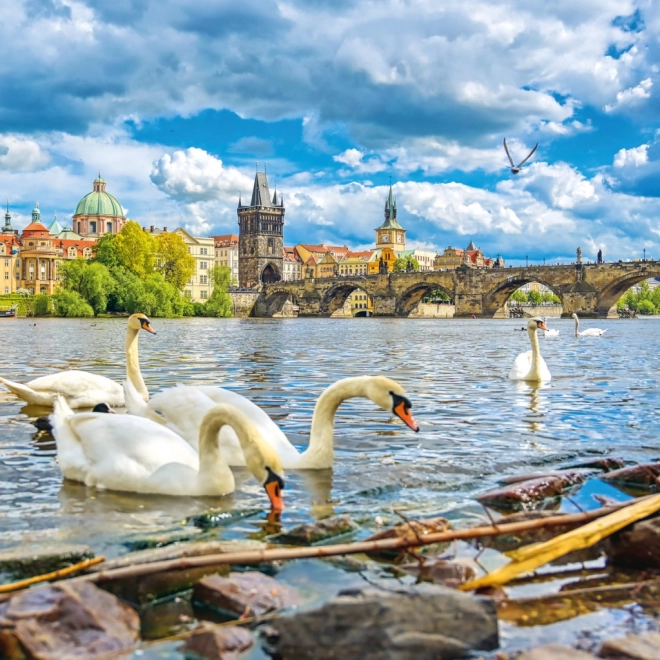 Poznámkový kalendář Praha 2026