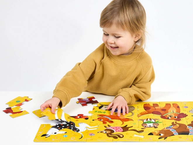 CzuCzu Puzzle Hau Piesci, 40 ks