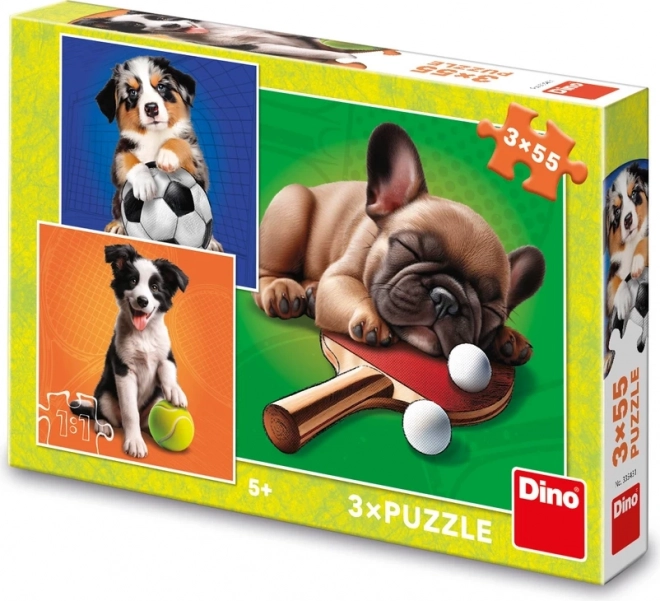 Dino puzzle psí sportovci 3x55 dílků