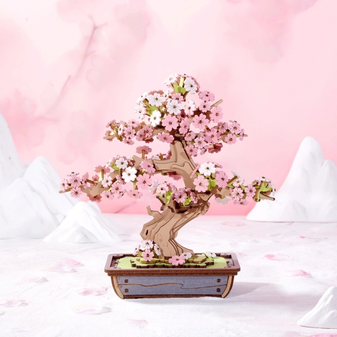 3D dřevěná skládačka Bonsai Sakura