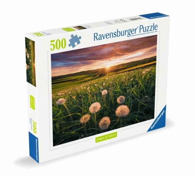 Pampelišky při západu slunce puzzle