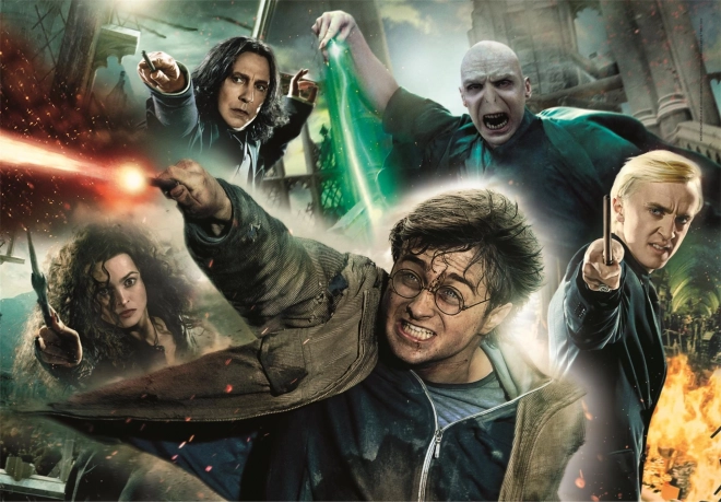 Puzzle 1000 dílků Kompaktní Harry Potter
