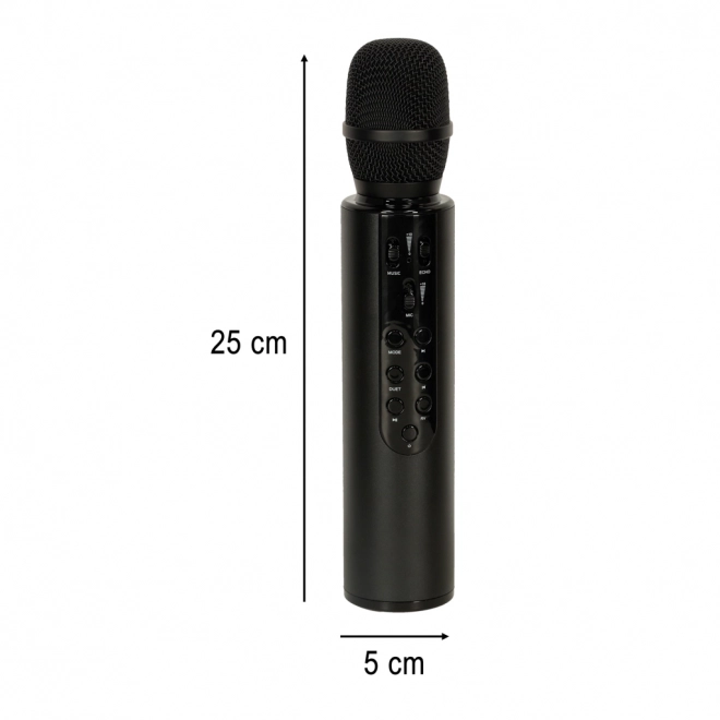 Bezdrátový mikrofon na karaoke Bluetooth černý – Černý