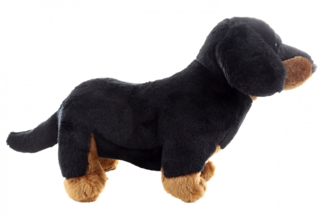 Plyš jezevčík 30 cm ECO-FRIENDLY
