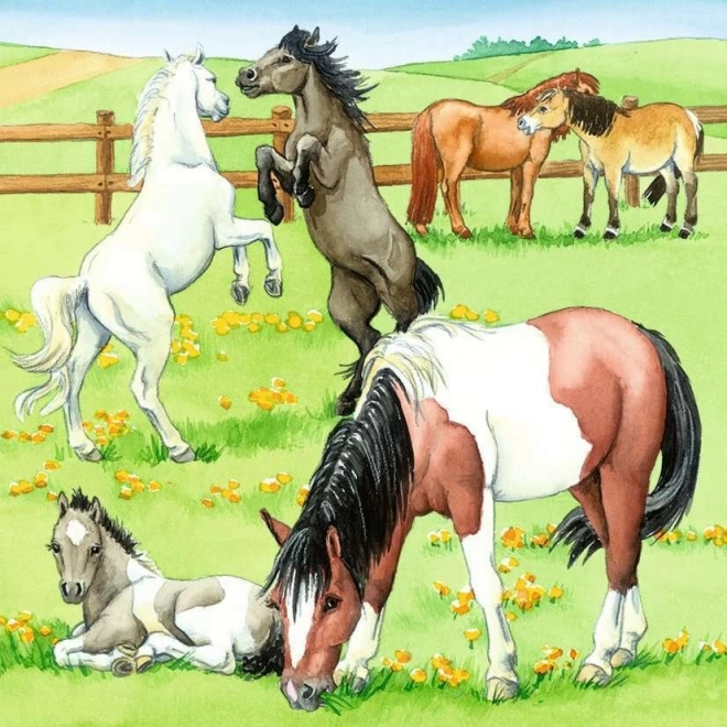 RAVENSBURGER Puzzle Den u koní 3x49 dílků