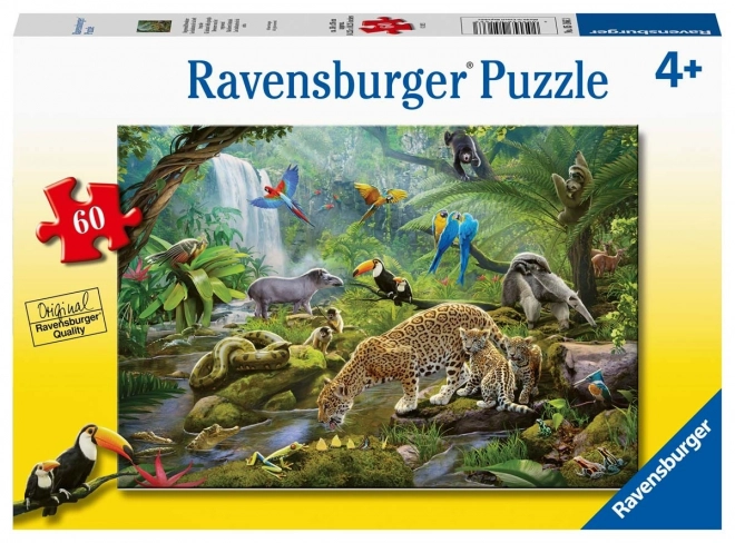 Ravensburger puzzle Zvířata tropického deštného pralesa 60 dílků