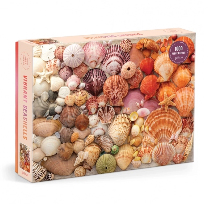 Puzzle Zářivé mušle 1000 dílků