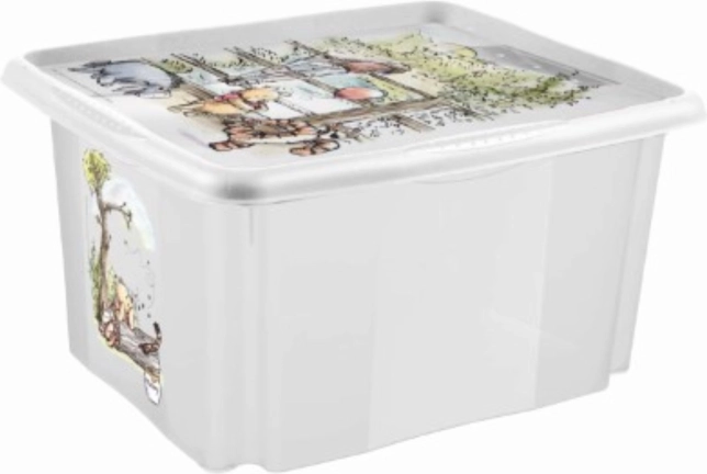 Úložný box s víkem 30 l, transparentní