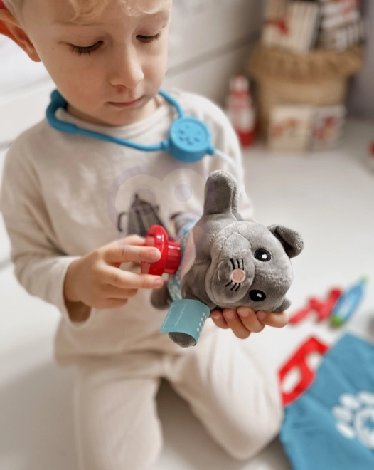Woopie veterinární sada Kotě s taškou