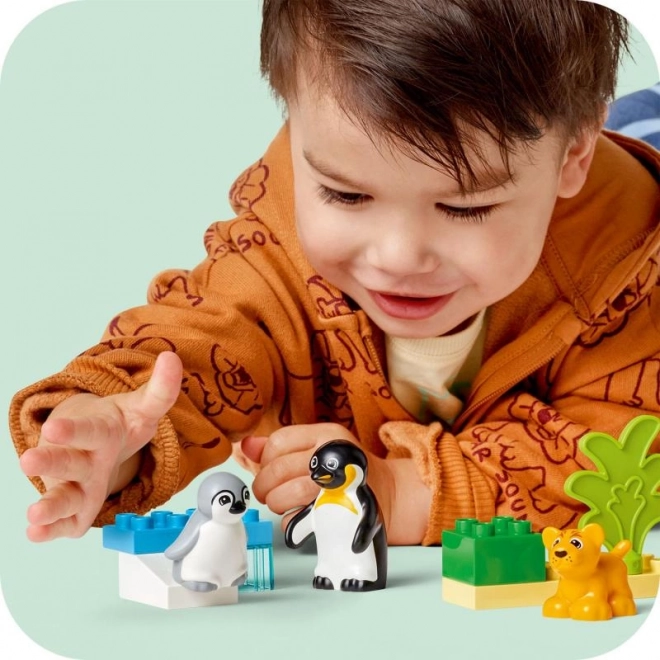 Lego Duplo Rodinky divokých zvířat: Tučňáci a lvi