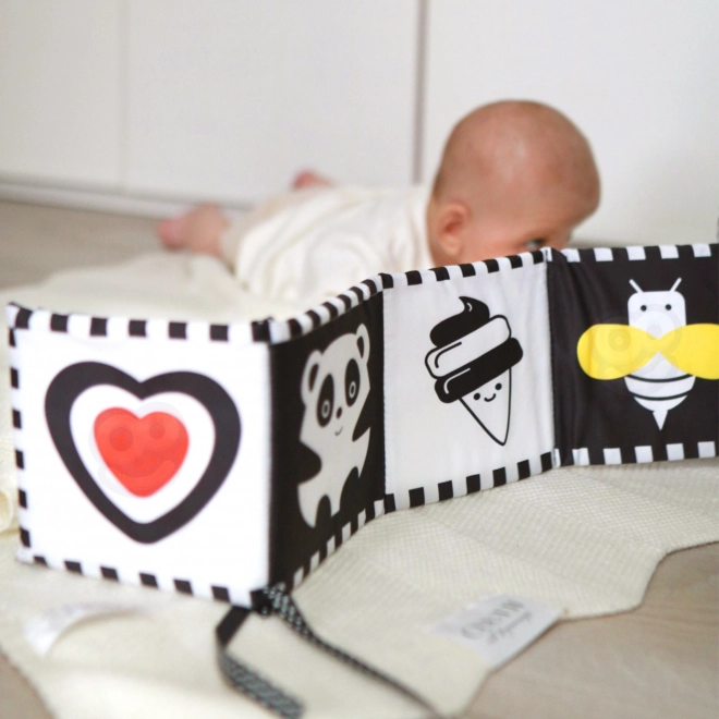 Montessori XXL vzdělávací box 7v1 TOOKY TOY
