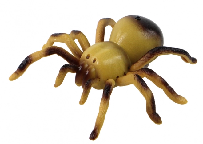 Zábavný zdaleka ovládaný pavouk tarantula