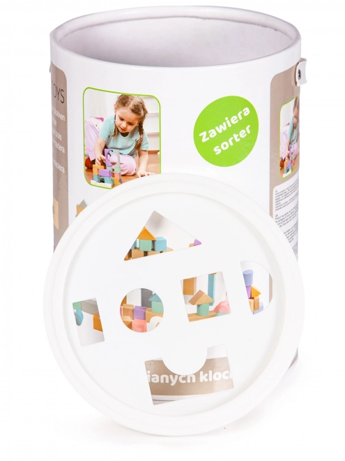 Dřevěné kostky 100 ks ve vědru se sortérem Ecotoys