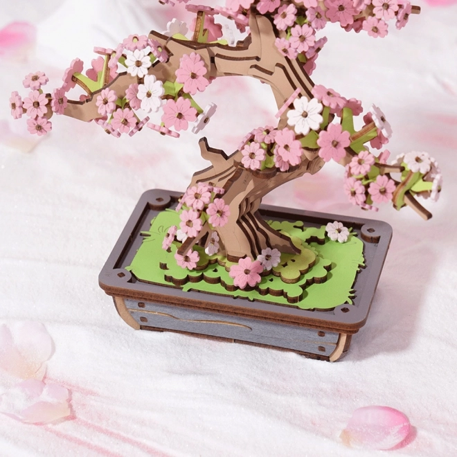 3D dřevěná skládačka Bonsai Sakura