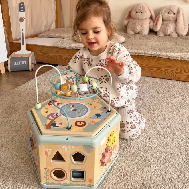 Interaktivní dřevěný šestiúhelník Montessori TOOKY TOY