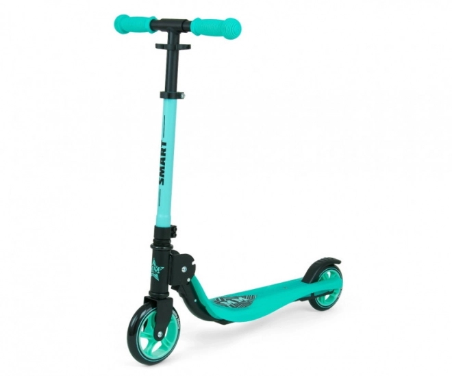 Koloběžka Smart mint scooter