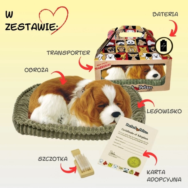 Dýchající štěňátko Cavalier