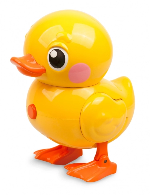 Roztomilý design, který baví